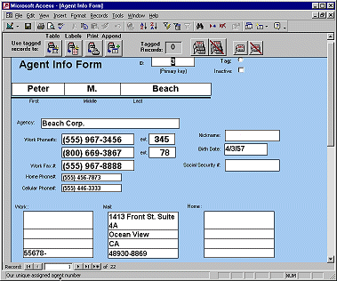 Data entry form for agents